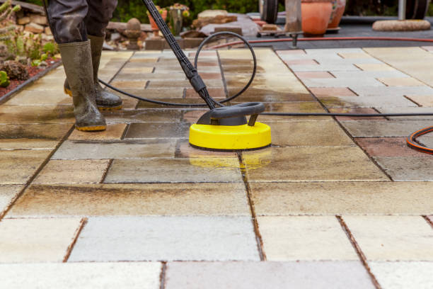 Animal Enclosure Cleaning in Emerald Mountain, AL